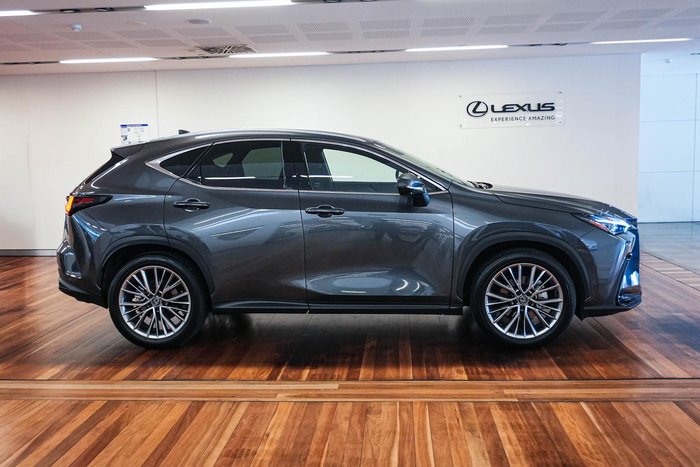 2025 Lexus NX 350h Sports Luxury