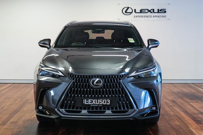 2025 Lexus NX 350h Sports Luxury