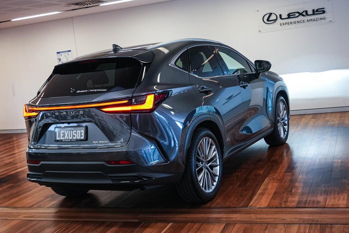 2025 Lexus NX 350h Sports Luxury