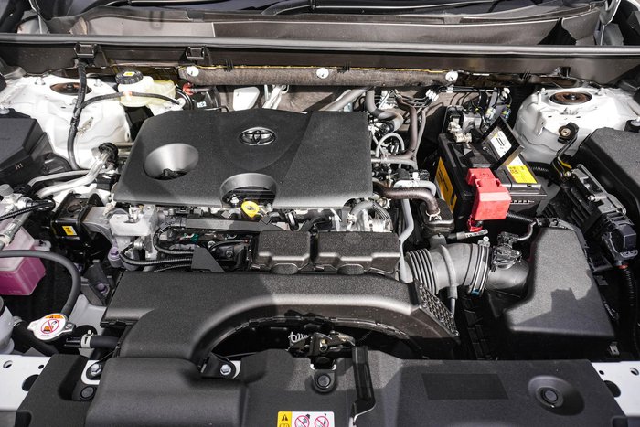 2021 Toyota RAV4 Cruiser