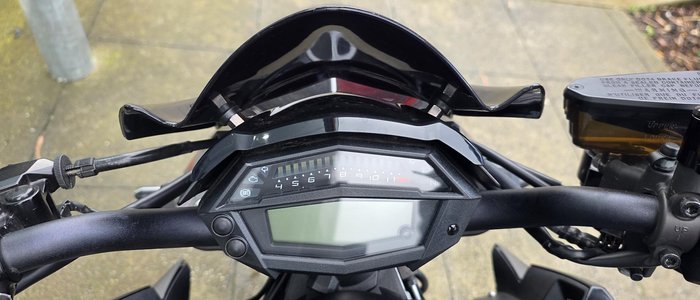2019 Kawasaki Z1000 ABS Z Black