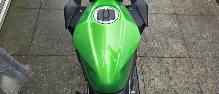 2024 Kawasaki Z500 (ER500) Z Green