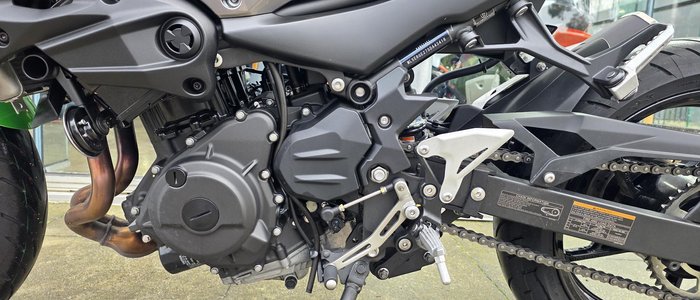 2024 Kawasaki Z500 (ER500) Z Green