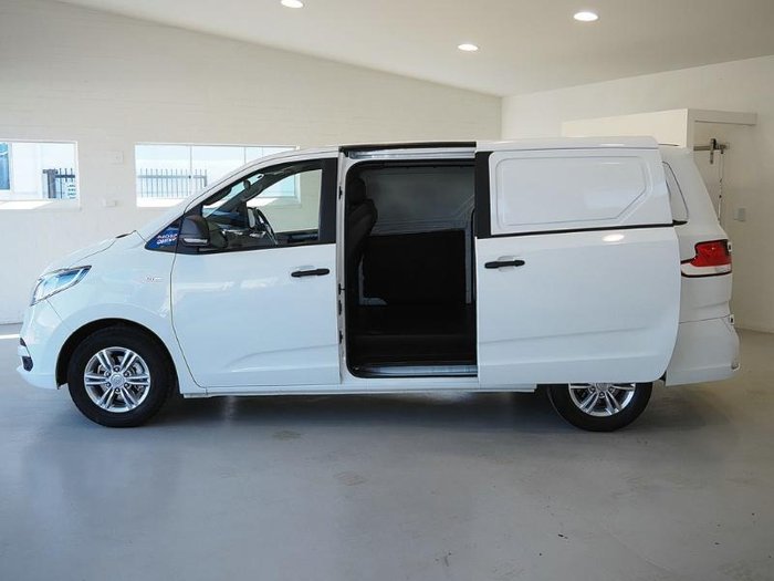 2024 LDV G10 +