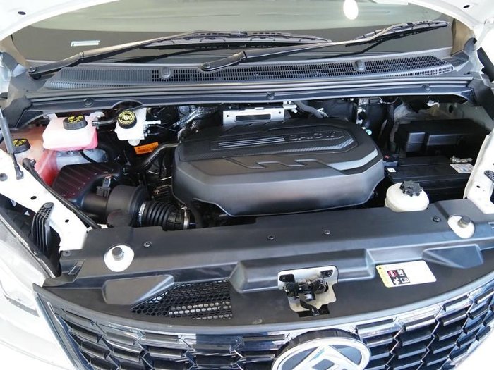 2024 LDV G10 +