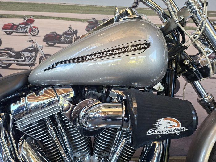 2007 Harley-Davidson Softail Standard 1584 EFI (FXSTI)