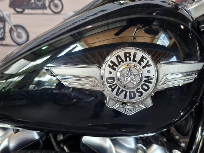 2019 Harley-Davidson Fat Boy 107 (FLFB)