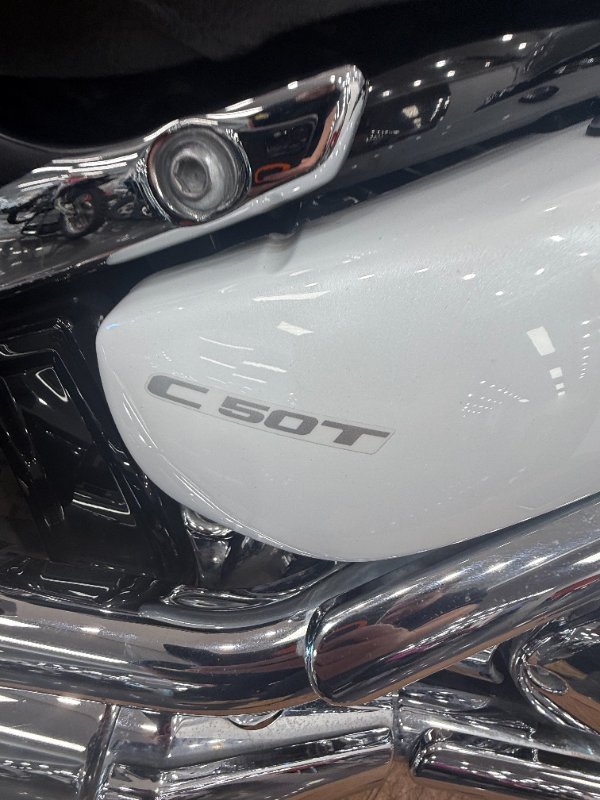 2021 Suzuki BOULEVARD C50T (VL800T) WHITE