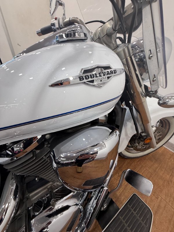 2021 Suzuki BOULEVARD C50T (VL800T) WHITE