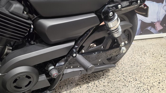 2019 Harley-Davidson Street 500 (XG500)