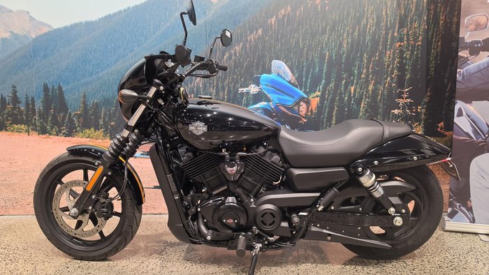 2019 Harley-Davidson Street 500 (XG500)