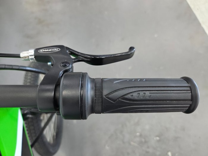 2025 Kawasaki 2025 KAWASAKI ELEKTRODE KSK030ASFNN Green