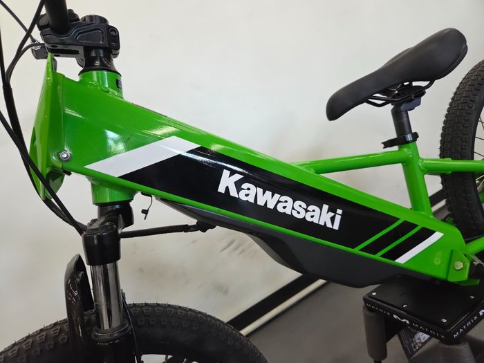 2025 Kawasaki 2025 KAWASAKI ELEKTRODE KSK030ASFNN Green
