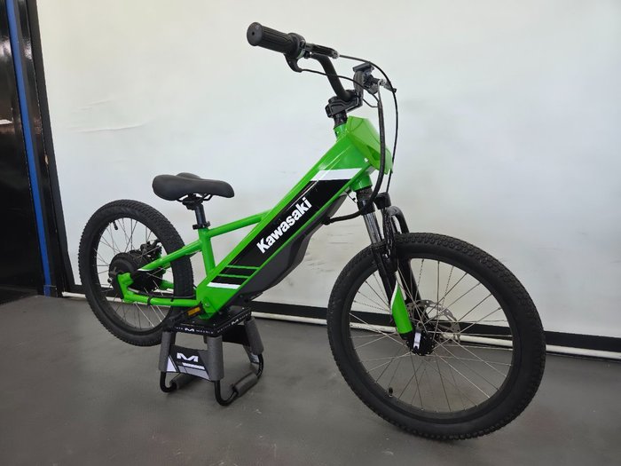 2025 Kawasaki 2025 KAWASAKI ELEKTRODE KSK030ASFNN Green