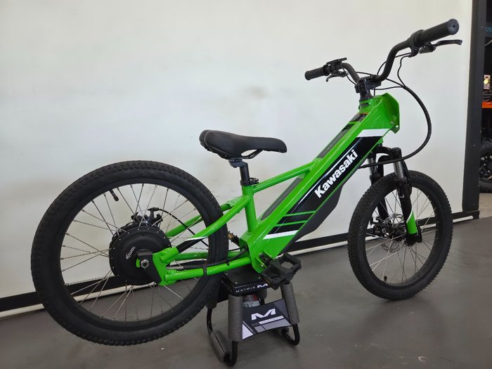 2025 Kawasaki 2025 KAWASAKI ELEKTRODE KSK030ASFNN Green