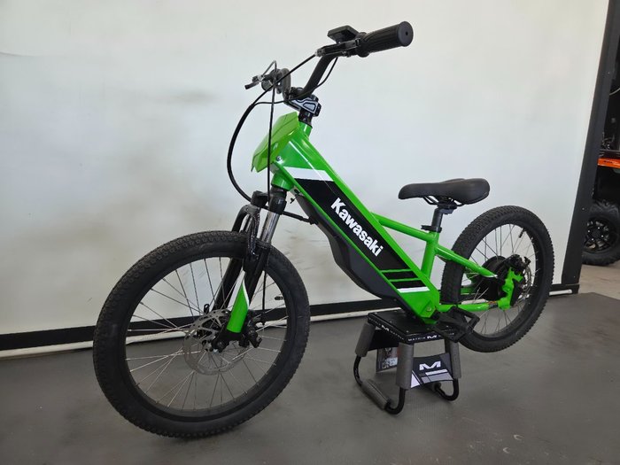 2025 Kawasaki 2025 KAWASAKI ELEKTRODE KSK030ASFNN Green