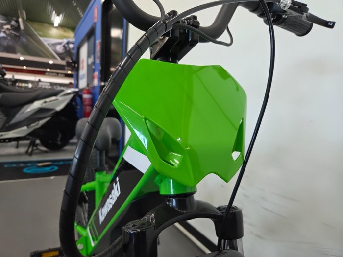 2025 Kawasaki 2025 KAWASAKI ELEKTRODE KSK030ASFNN Green