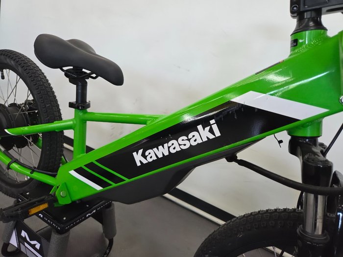 2025 Kawasaki 2025 KAWASAKI ELEKTRODE KSK030ASFNN Green