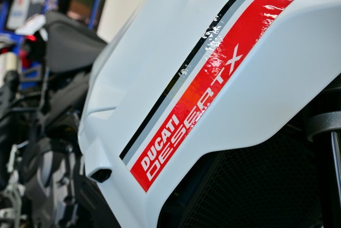 2022 DUCATI DESERTX White