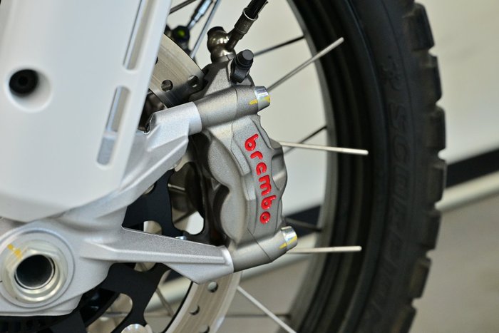 2022 DUCATI DESERTX White