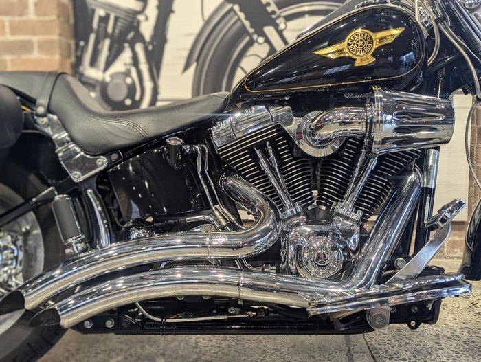 2005 Harley-Davidson Fat Boy 15th Anniversary (FLSTFIANV)