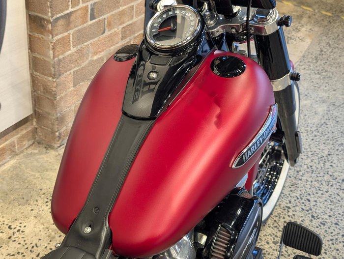 2019 Harley-Davidson Slim 107 (FLSL)