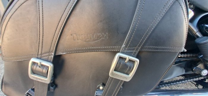 2011 Triumph