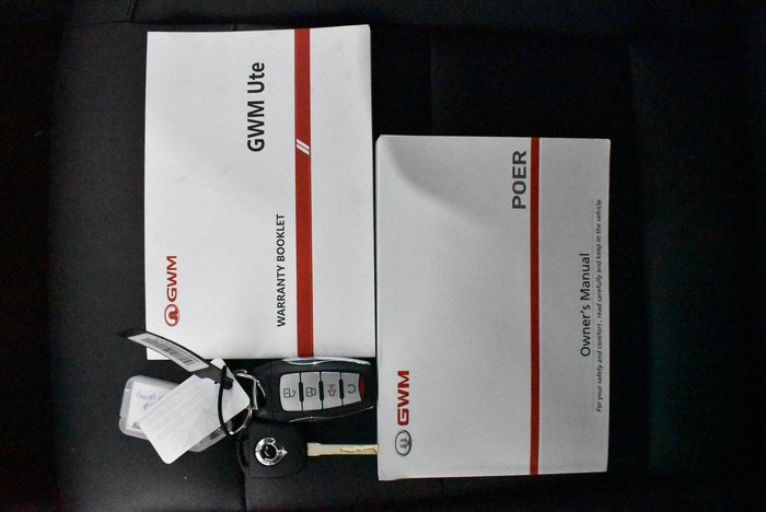 2023 GWM Ute Cannon-L