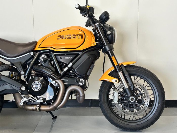 2023 Ducati Scrambler 1100 Tribute Pro Scrambler Yellow