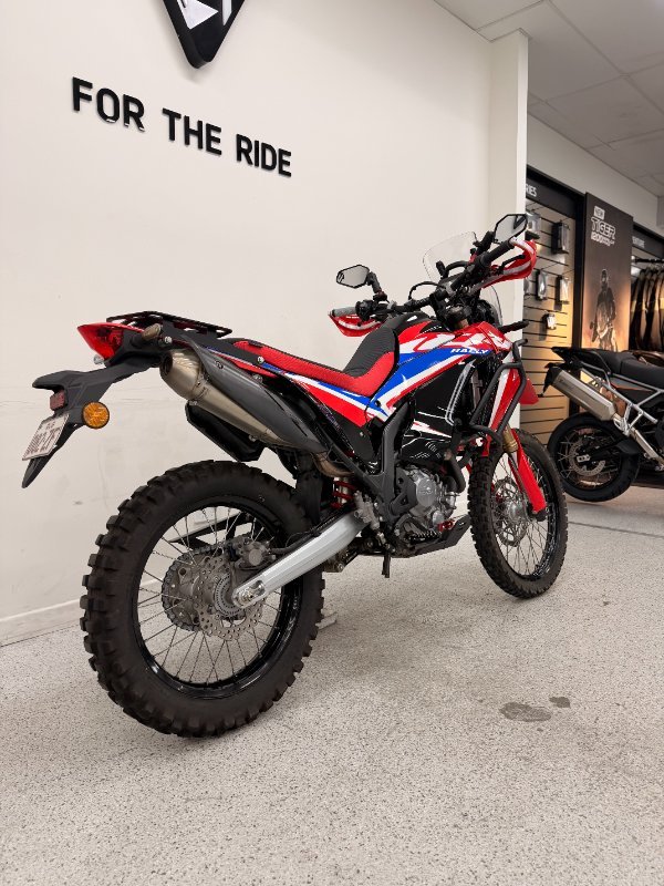 2023 Honda CRF300 RALLY Red