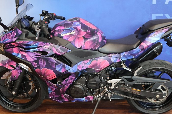 2026 Kawasaki 2026 KAWASAKI 500CC NINJA 500 EX500GTFNW