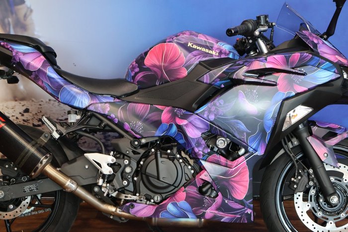 2026 Kawasaki 2026 KAWASAKI 500CC NINJA 500 EX500GTFNW