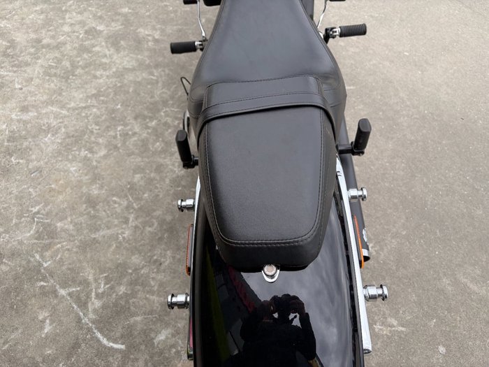 2018 HARLEY-DAVIDSON FLSB SPORT GLIDE (CUSTOM TT)