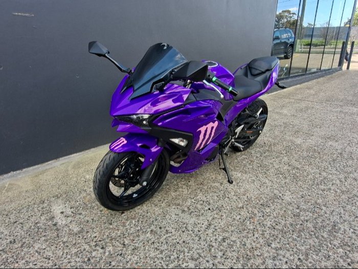 2025 Kawasaki NINJA 500 WHITE