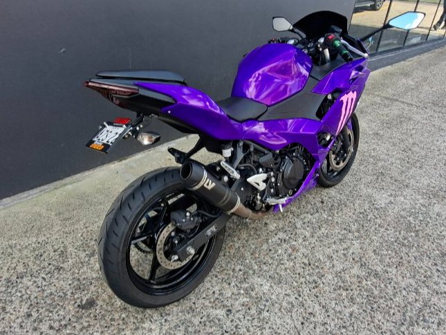 2025 Kawasaki NINJA 500