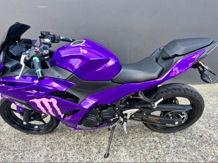 2025 Kawasaki NINJA 500