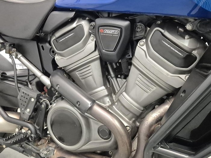 2025 Harley-Davidson Pan America 1250 Special Pan America Blue