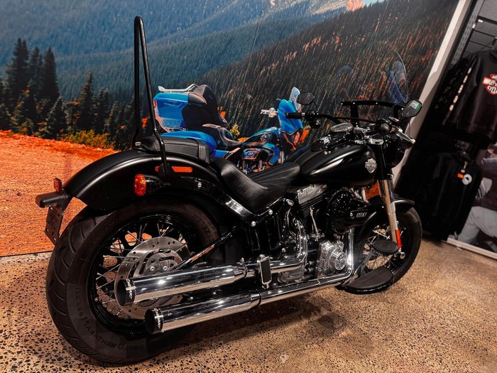 2015 Harley-Davidson Softail Slim (FLS)
