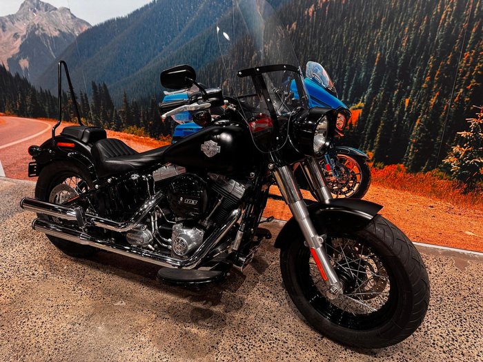 2015 Harley-Davidson Softail Slim (FLS)