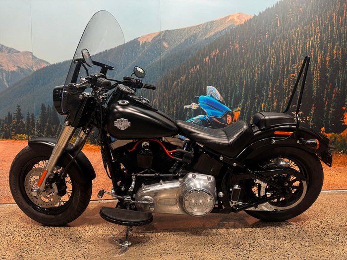 2015 Harley-Davidson Softail Slim (FLS)