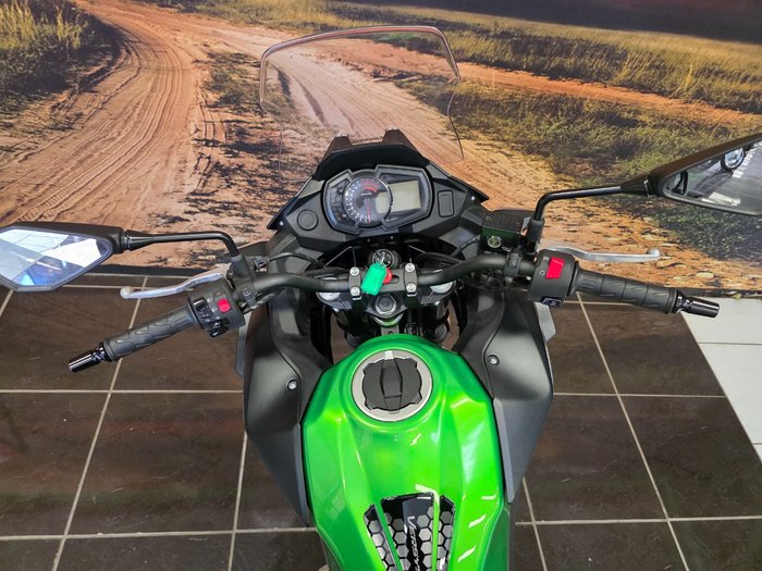 2024 Kawasaki VERSYS-X 300 GREEN