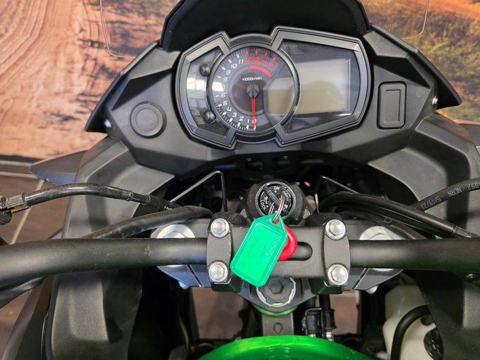2024 Kawasaki VERSYS-X 300 GREEN