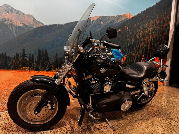 2008 Harley-Davidson Dyna Fat Bob 96 (FXDF)