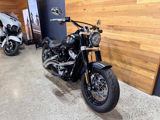 2019 Harley-Davidson Slim 107 (FLSL)