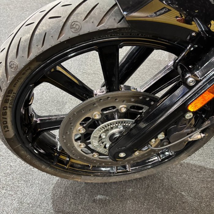 2023 Indian SCOUT Grey