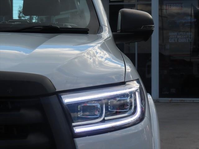 2021 GWM Ute Cannon