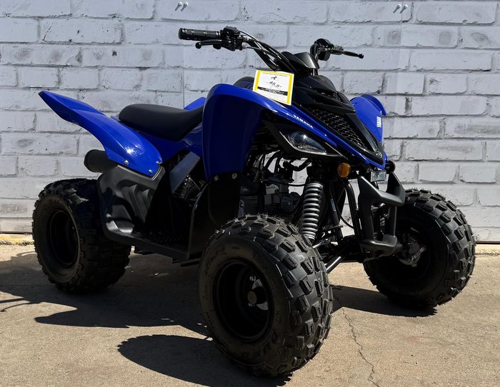 2025 Yamaha Raptor 110 (YFM110R)