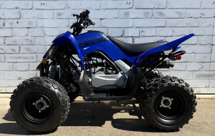 2025 Yamaha Raptor 110 (YFM110R)