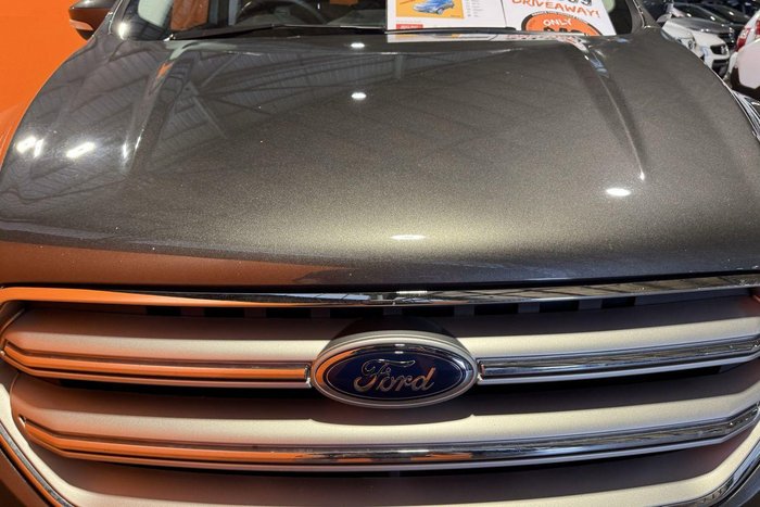 2017 Ford Escape Trend