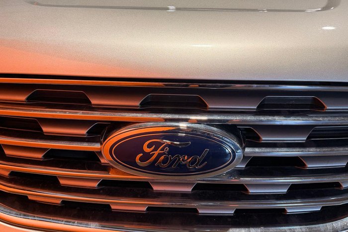 2018 Ford Endura